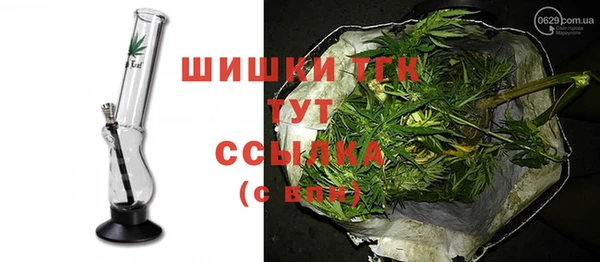 молекула духа Арсеньев