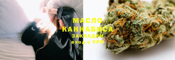 молекула духа Арсеньев