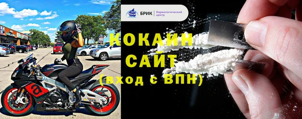молекула духа Арсеньев