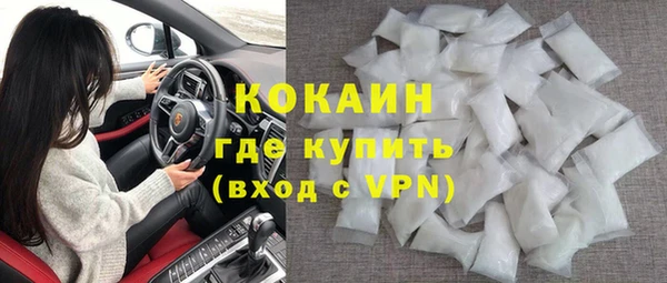 молекула духа Арсеньев