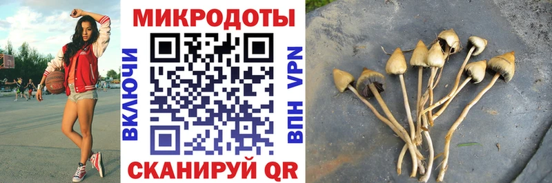 наркотики  Перевоз  Псилоцибиновые грибы MAGIC MUSHROOMS 